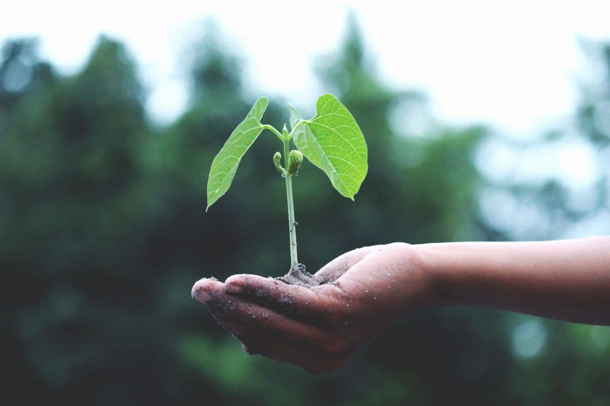Sustainable Eco Packaging